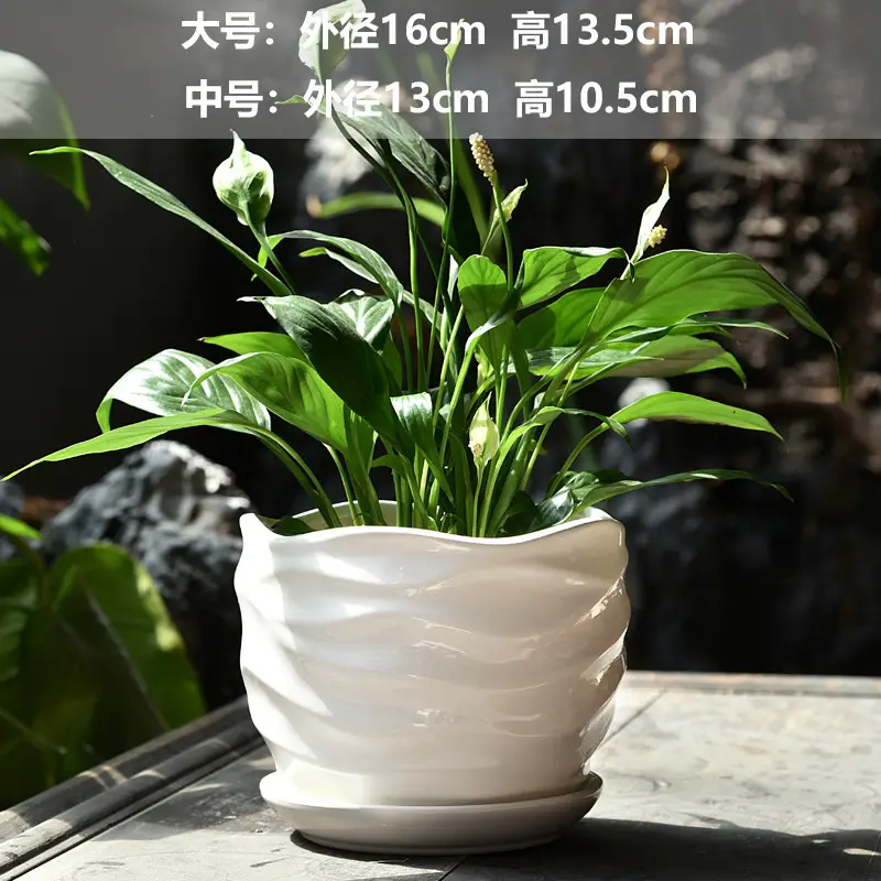 A generation of cross-border Amazon TEMU ceramic flower pot with tray European simple green plant large butterfly orchid basin