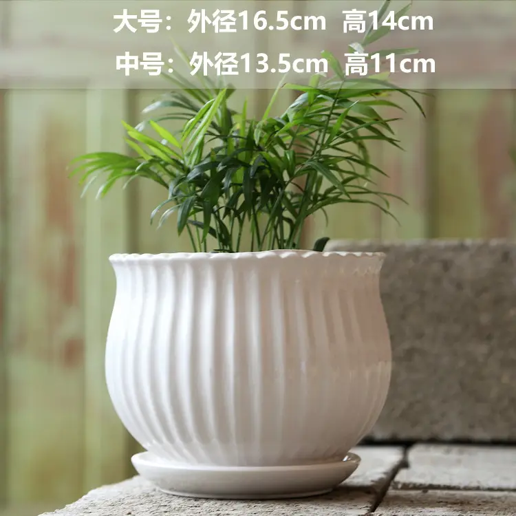 A generation of cross-border Amazon TEMU ceramic flower pot with tray European simple green plant large butterfly orchid basin