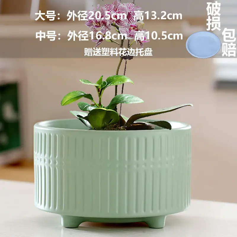 A generation of cross-border Amazon TEMU ceramic flower pot with tray European simple green plant large butterfly orchid basin