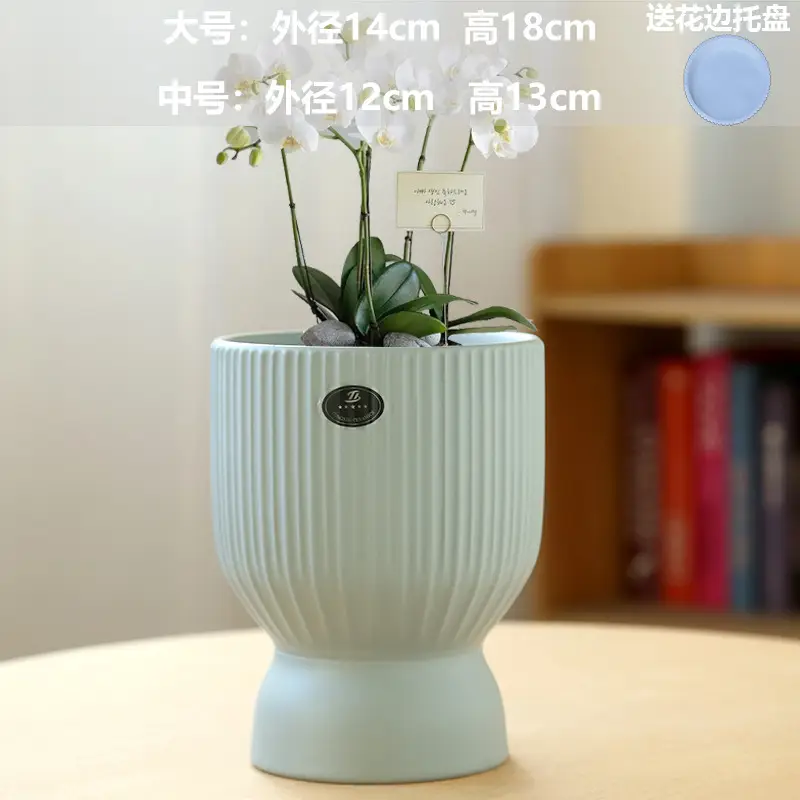 A generation of cross-border Amazon TEMU ceramic flower pot with tray European simple green plant large butterfly orchid basin