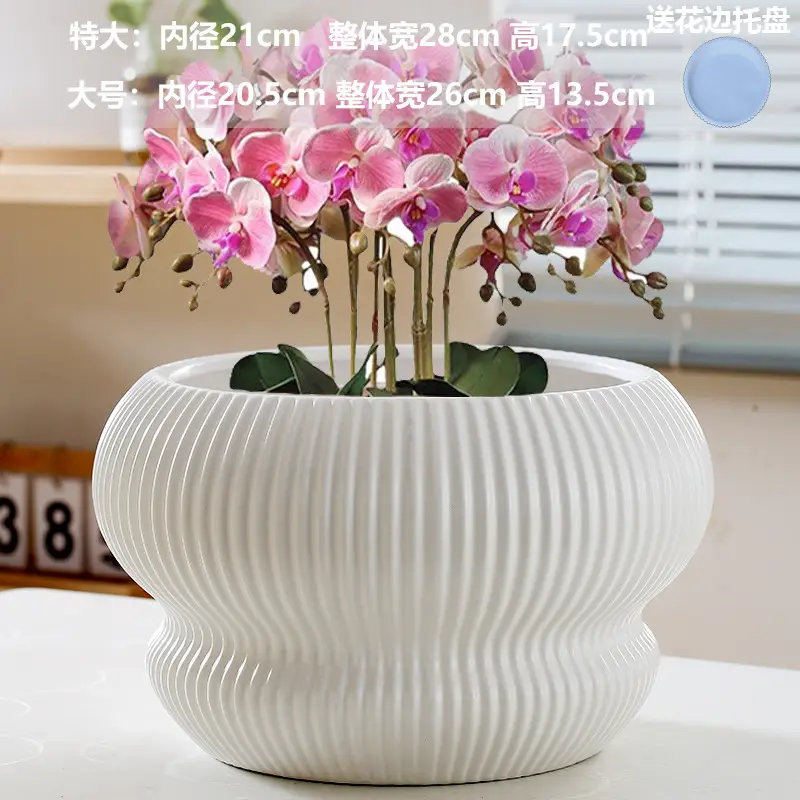 A generation of cross-border Amazon TEMU ceramic flower pot with tray European simple green plant large butterfly orchid basin