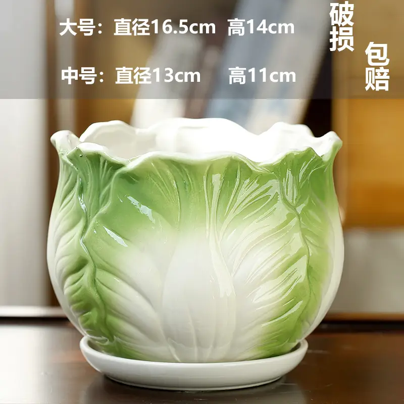 A generation of cross-border Amazon TEMU ceramic flower pot with tray European simple green plant large butterfly orchid basin