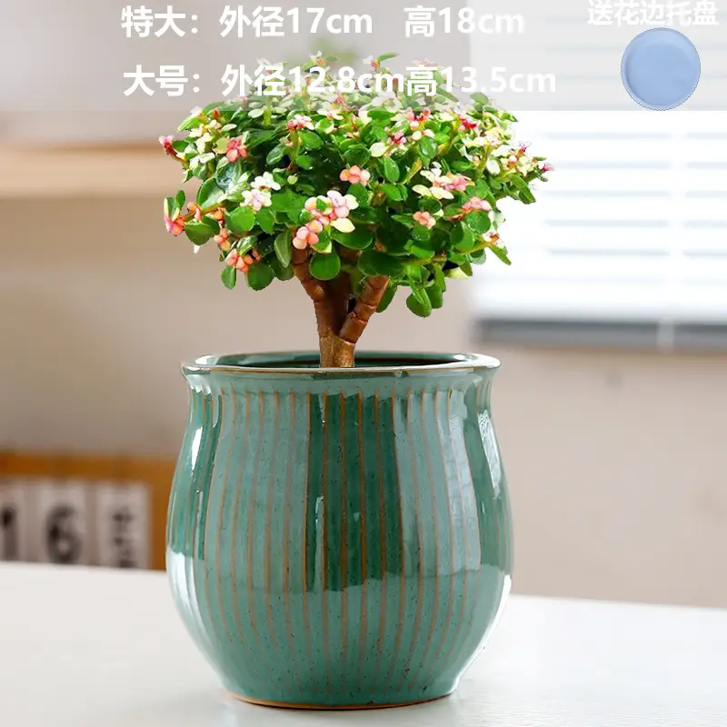 A generation of cross-border Amazon TEMU ceramic flower pot with tray European simple green plant large butterfly orchid basin