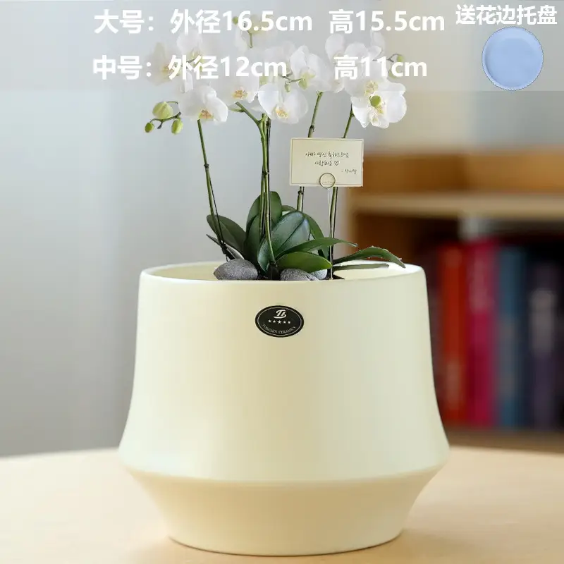 A generation of cross-border Amazon TEMU ceramic flower pot with tray European simple green plant large butterfly orchid basin