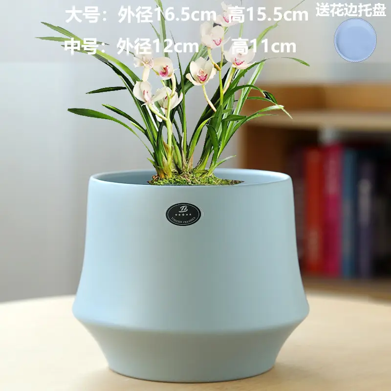 A generation of cross-border Amazon TEMU ceramic flower pot with tray European simple green plant large butterfly orchid basin
