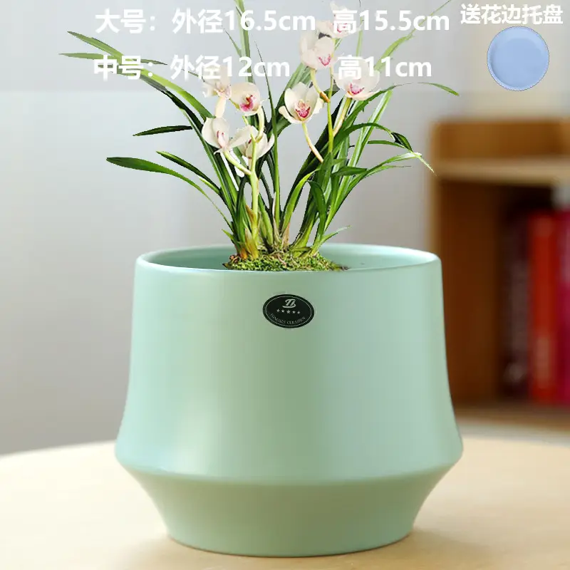 A generation of cross-border Amazon TEMU ceramic flower pot with tray European simple green plant large butterfly orchid basin