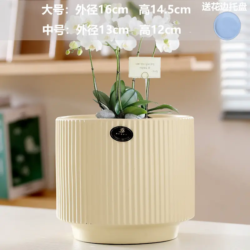 A generation of cross-border Amazon TEMU ceramic flower pot with tray European simple green plant large butterfly orchid basin