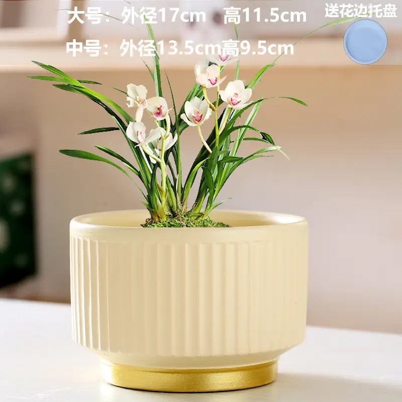 A generation of cross-border Amazon TEMU ceramic flower pot with tray European simple green plant large butterfly orchid basin