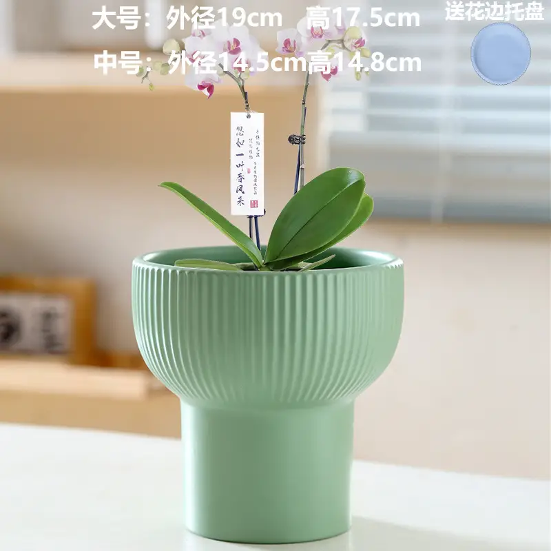 A generation of cross-border Amazon TEMU ceramic flower pot with tray European simple green plant large butterfly orchid basin