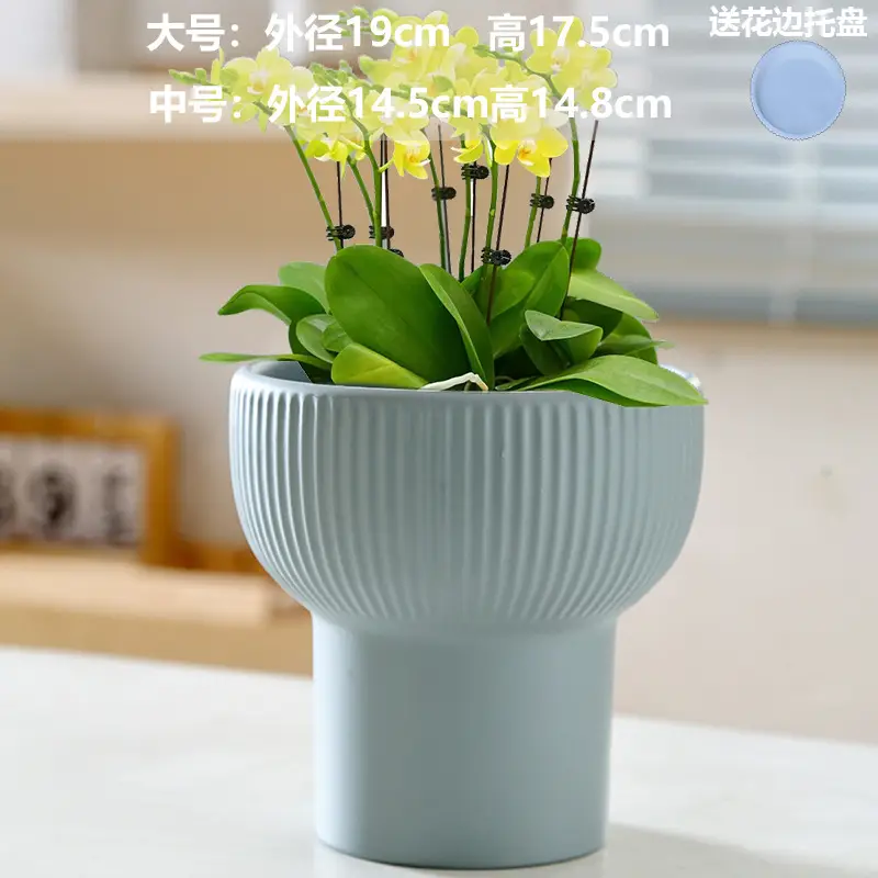 A generation of cross-border Amazon TEMU ceramic flower pot with tray European simple green plant large butterfly orchid basin