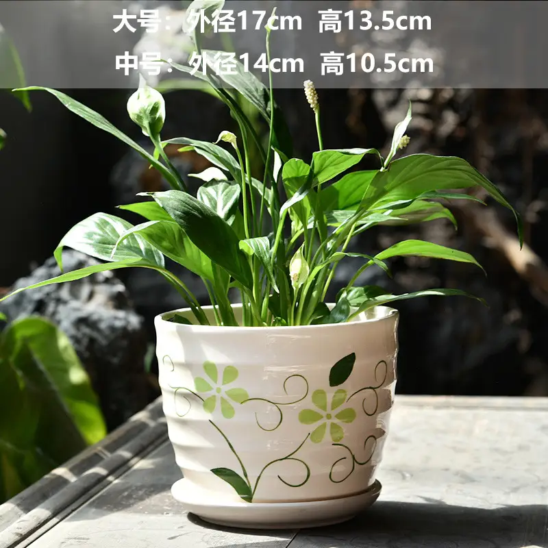 A generation of cross-border Amazon TEMU ceramic flower pot with tray European simple green plant large butterfly orchid basin