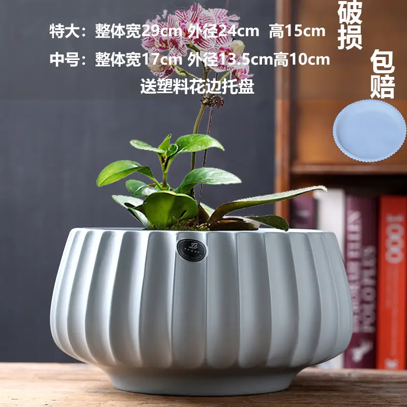 A generation of cross-border Amazon TEMU ceramic flower pot with tray European simple green plant large butterfly orchid basin