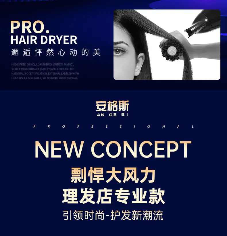 Cross-border Hair Dryer Cold Hot Negative Ion Net Red — feature 2