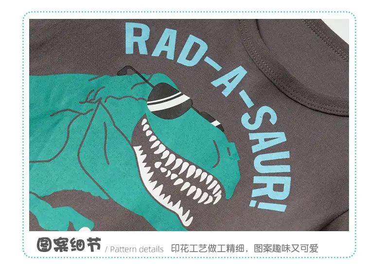 Malwee Boys Rad-A-Sauri Long Sleeve T-Shirt Brown — feature 8