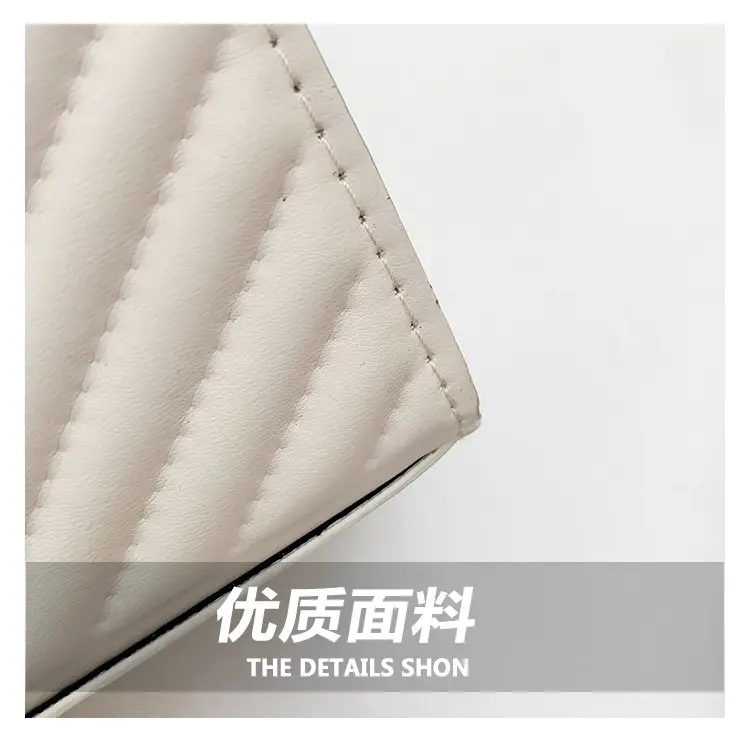Elegant Gold Chain Crossbody Bag for Women 2024 — feature 5