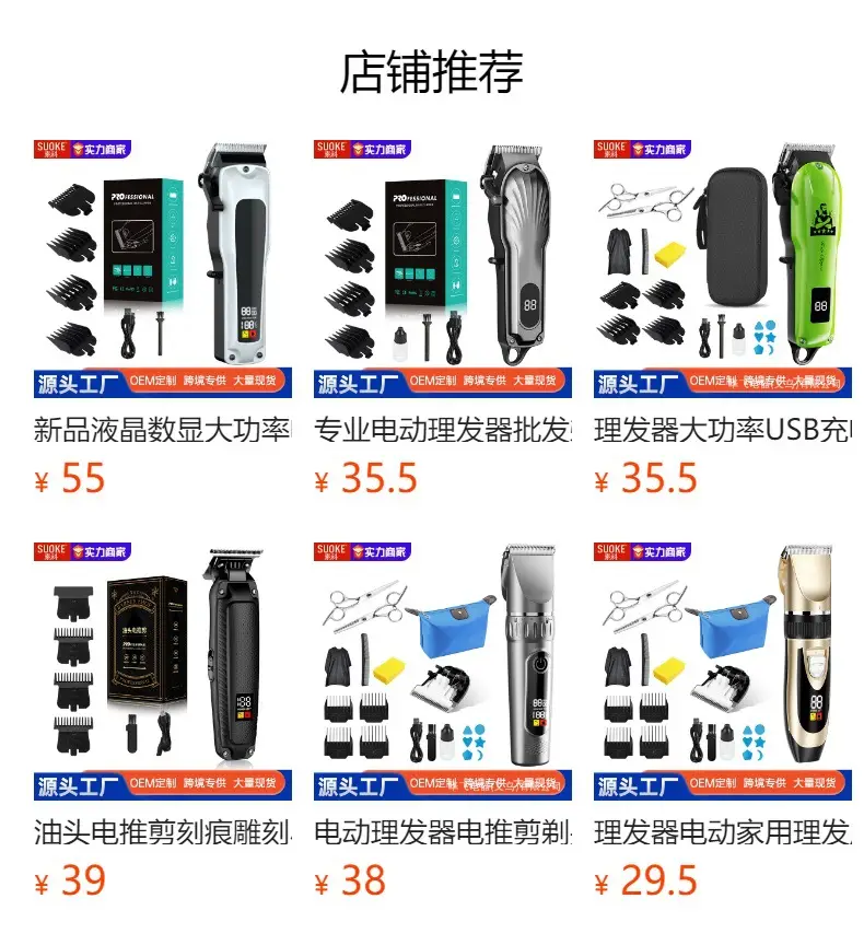 Professional Electric Hair Clipper with Oil, Blades & Accessories — feature 1