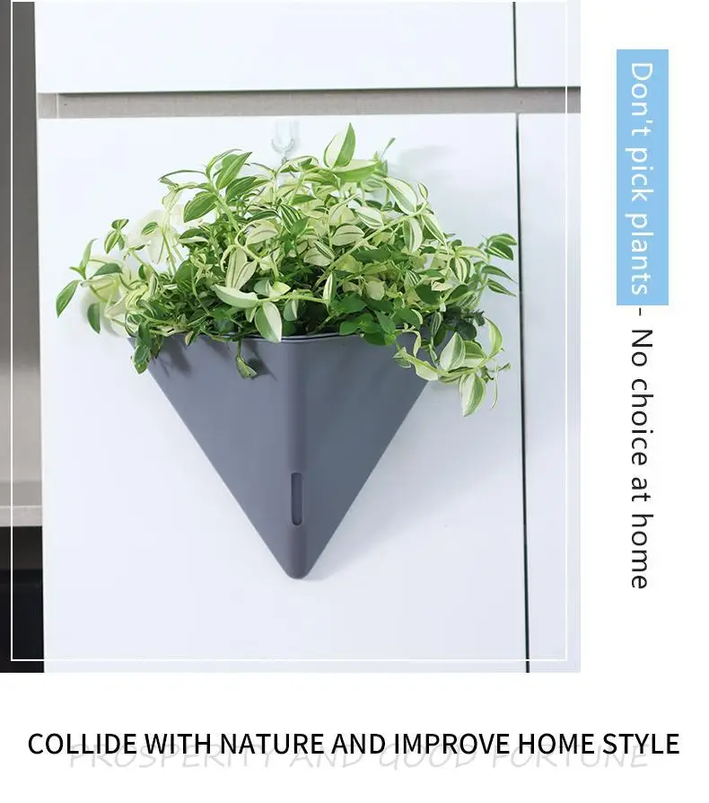 Cross-Border Specially Designed for Oulinze Plastic Wall-Mounted Flower Pots, Household Self-Watering, Self-Absorbing Pots, Gardening Simple Lazy Flower Pots — feature 23