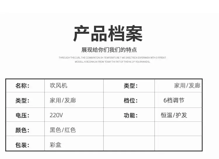 European Standard High-Power Hair Dryer for Home Barber Shops — feature 14