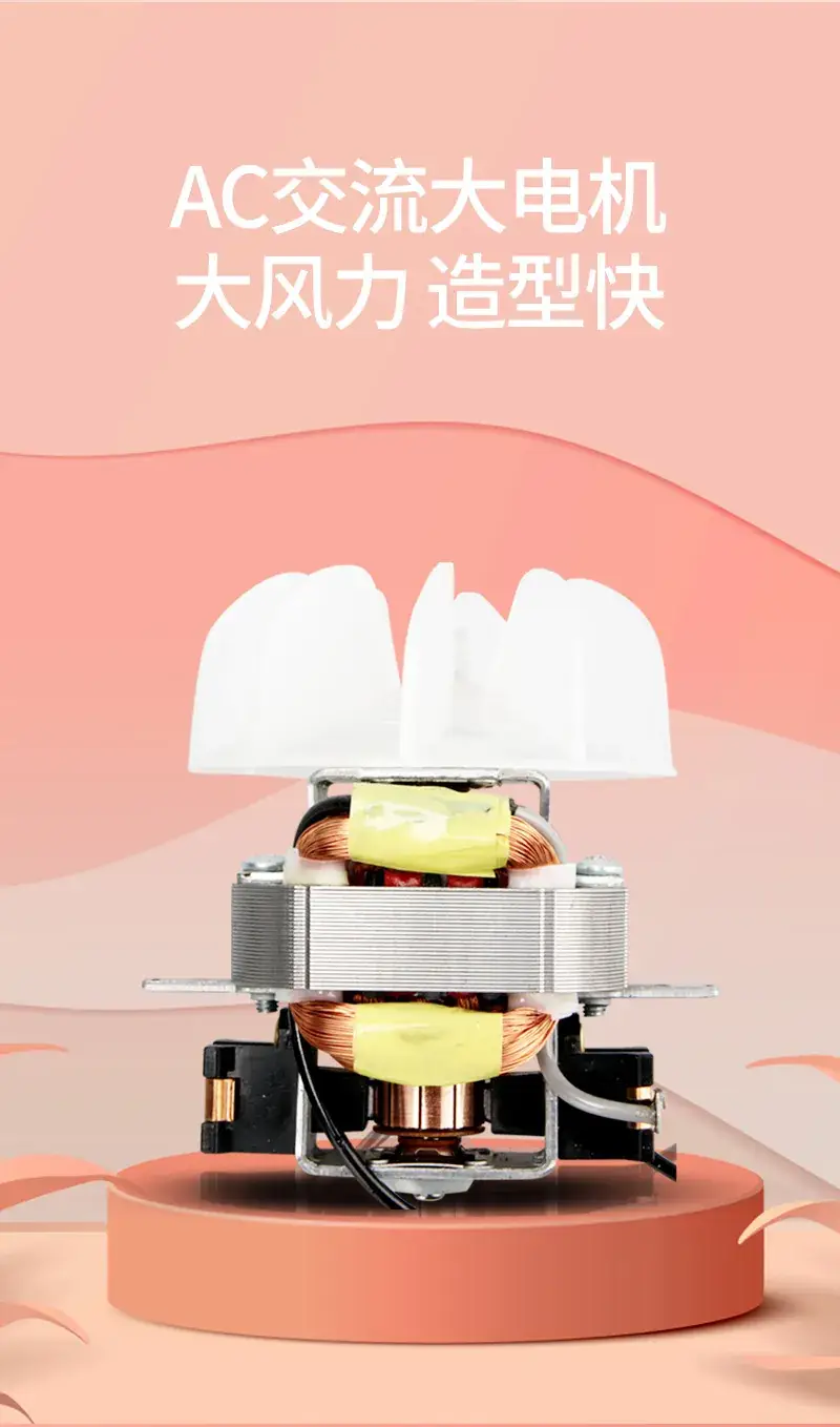 Negative Ion Hair Dryer for Frizz Control High Power — feature 3