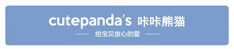 Panda Print Long Sleeve T-Shirt for Boys Pure Cotton Spring Outfit — feature 1