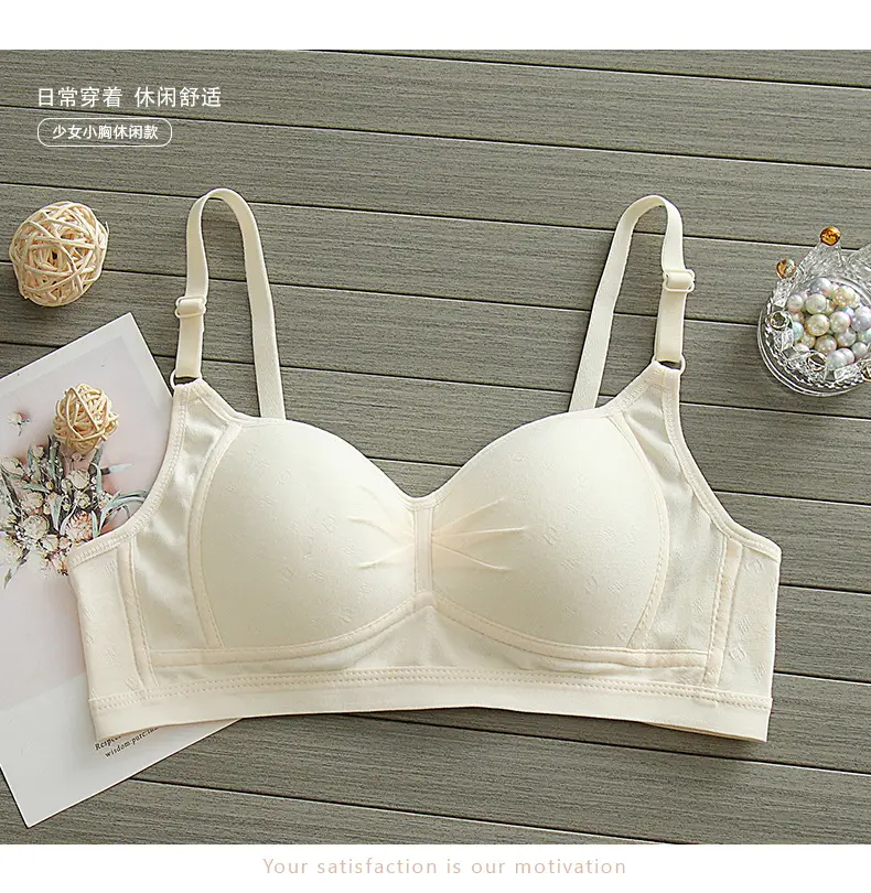 Pure Cotton Thin Underwear Female College Students Junior High School Students High School Girls Small Chest Gathering Anti-sagging Girly Bra — feature 14