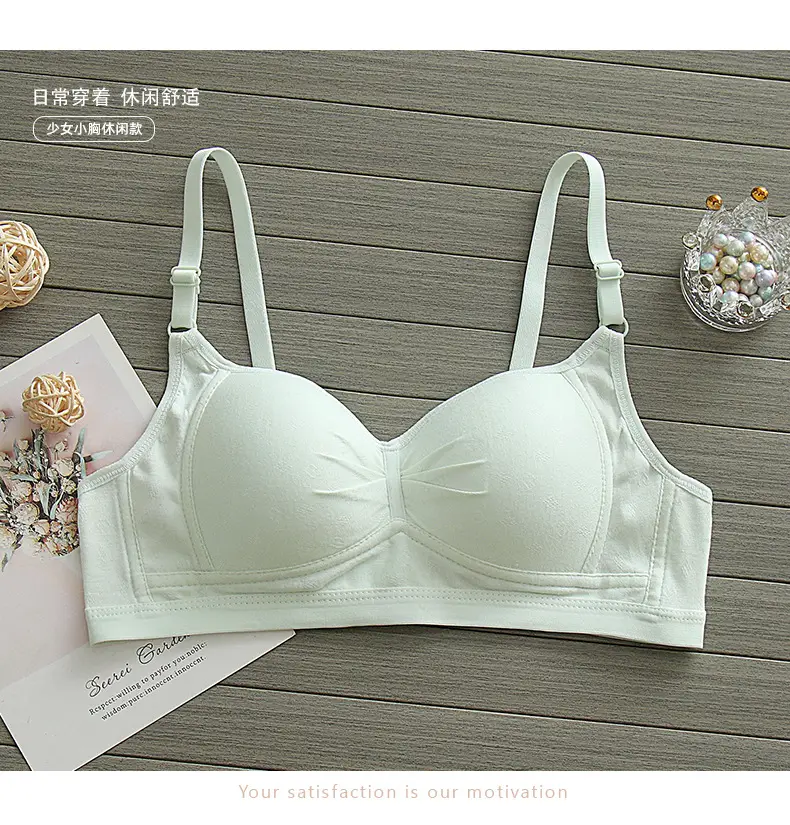 Pure Cotton Thin Underwear Female College Students Junior High School Students High School Girls Small Chest Gathering Anti-sagging Girly Bra — feature 16