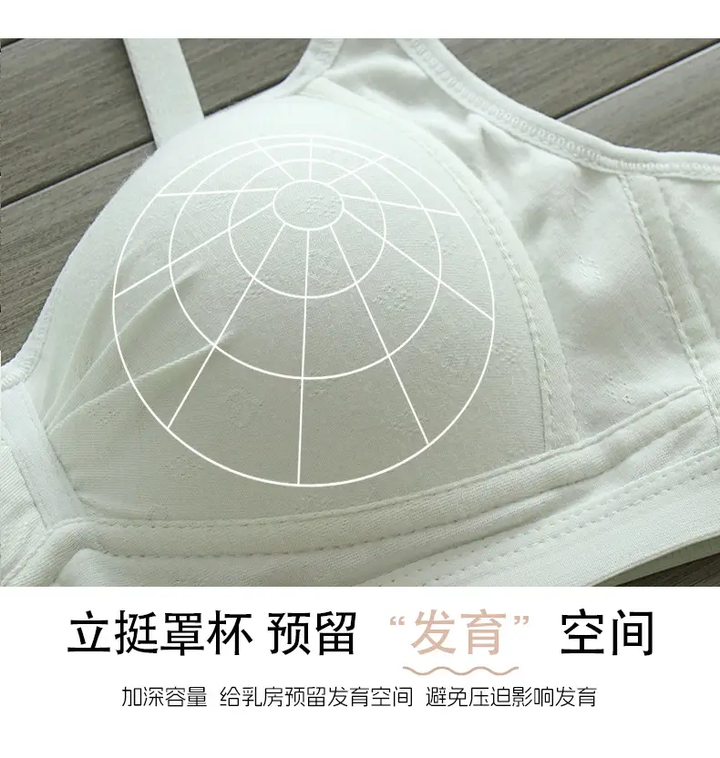 Pure Cotton Thin Underwear Female College Students Junior High School Students High School Girls Small Chest Gathering Anti-sagging Girly Bra — feature 9