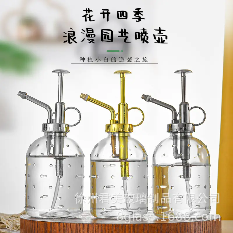 Transparent raindrop glass watering can 350ml desktop gardening potted fleshy watering can watering tools factory wholesale