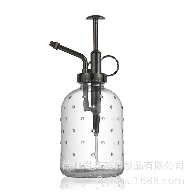 Transparent raindrop glass watering can 350ml desktop gardening potted fleshy watering can watering tools factory wholesale