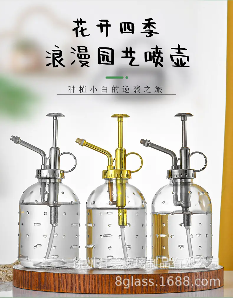 Transparent raindrop glass watering can 350ml desktop gardening potted fleshy watering can watering tools factory wholesale — feature 1