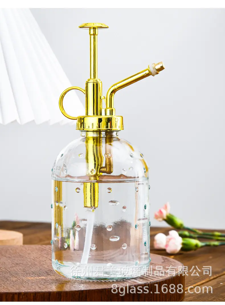 Transparent raindrop glass watering can 350ml desktop gardening potted fleshy watering can watering tools factory wholesale — feature 11