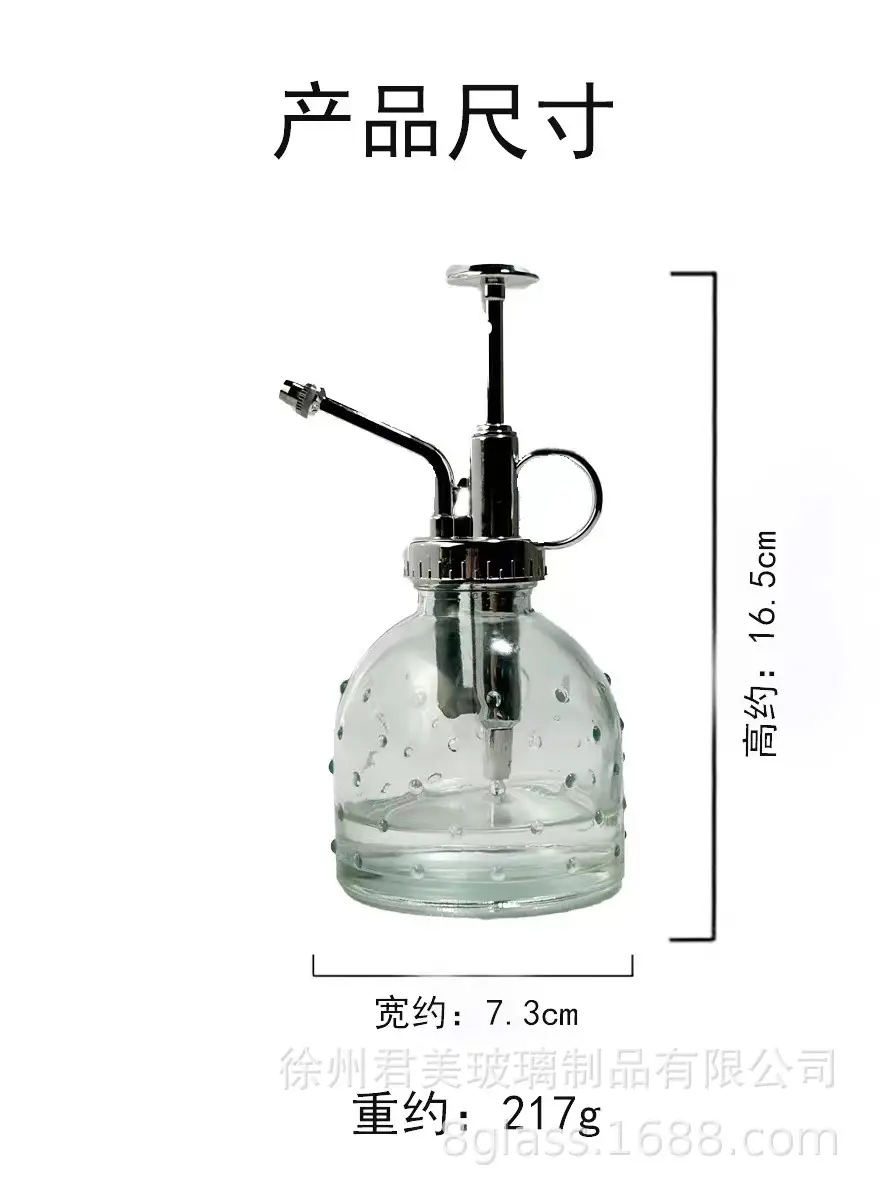 Transparent raindrop glass watering can 350ml desktop gardening potted fleshy watering can watering tools factory wholesale — feature 17