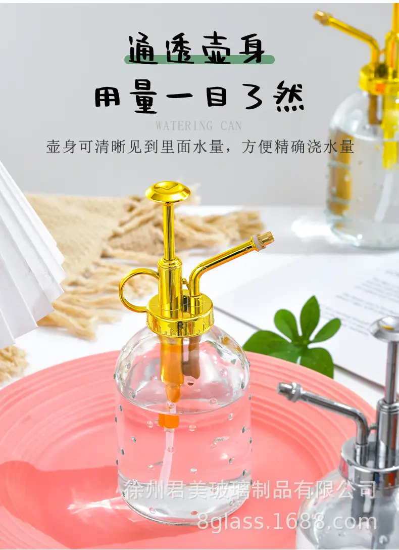 Transparent raindrop glass watering can 350ml desktop gardening potted fleshy watering can watering tools factory wholesale — feature 2