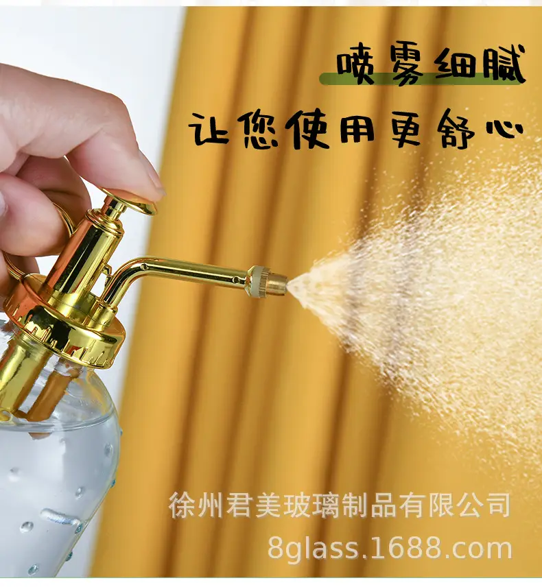 Transparent raindrop glass watering can 350ml desktop gardening potted fleshy watering can watering tools factory wholesale — feature 5
