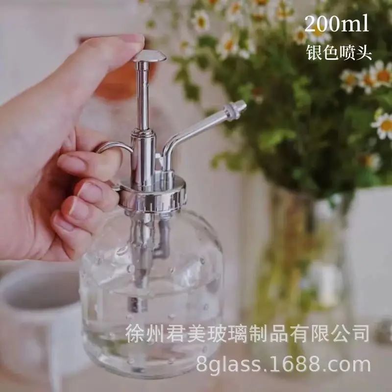 Transparent raindrop glass watering can 350ml desktop gardening potted fleshy watering can watering tools factory wholesale