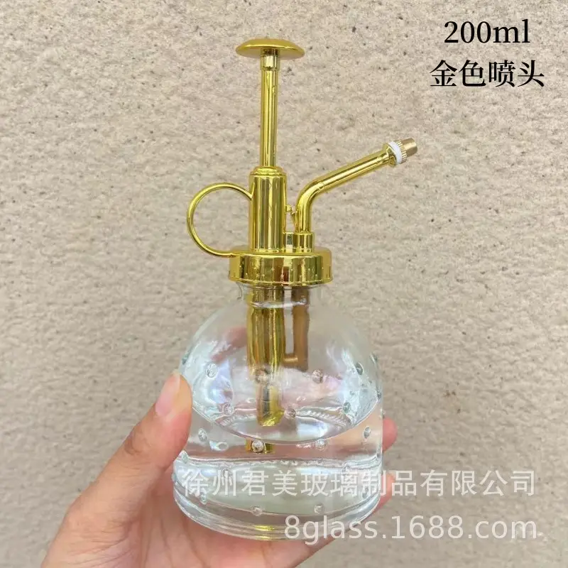 Transparent raindrop glass watering can 350ml desktop gardening potted fleshy watering can watering tools factory wholesale