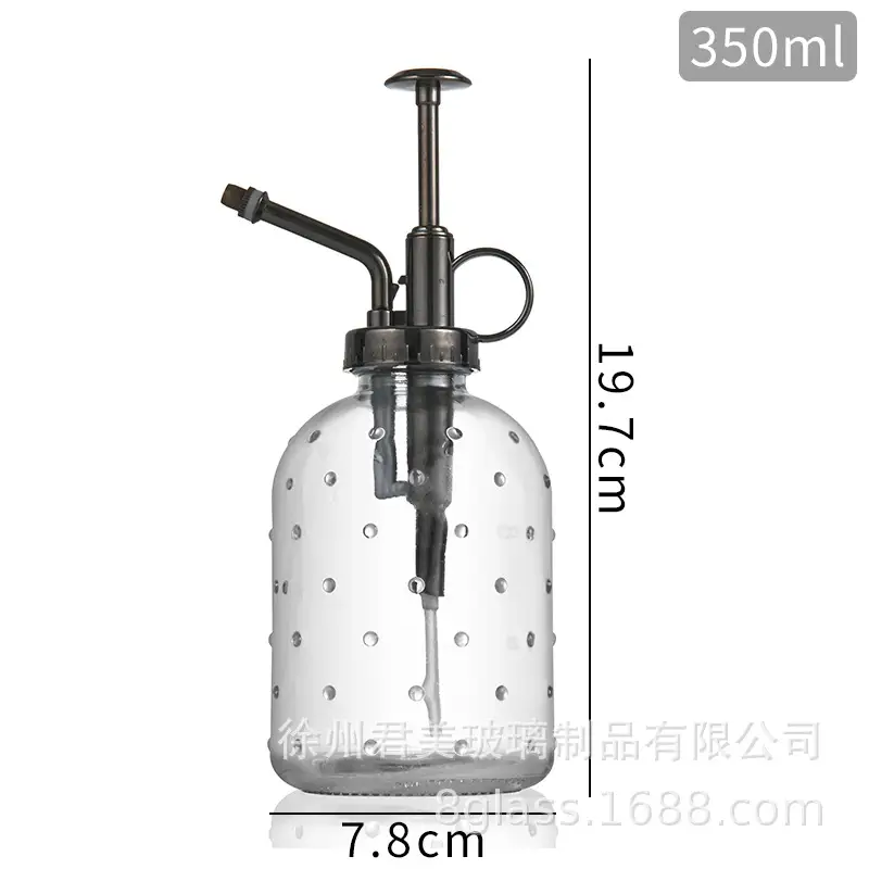 Transparent raindrop glass watering can 350ml desktop gardening potted fleshy watering can watering tools factory wholesale