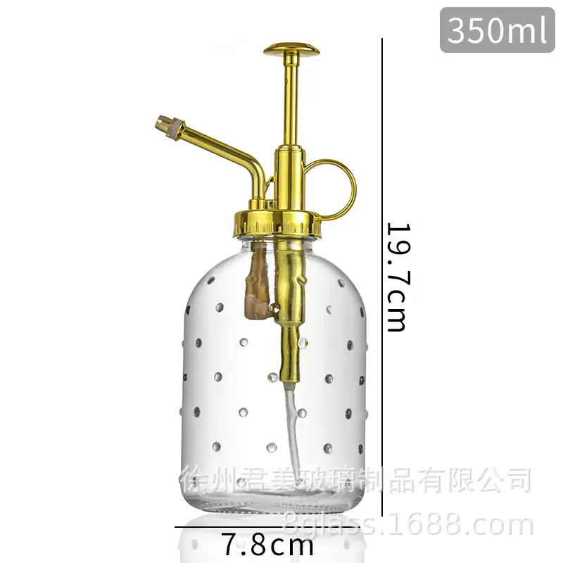 Transparent raindrop glass watering can 350ml desktop gardening potted fleshy watering can watering tools factory wholesale