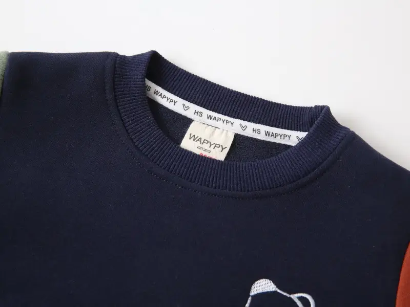 Children's Fleece Sweatshirt 2026 New Autumn and Winter Children's Clothing Wholesale Boys' Patchwork Sleeve Thickened Warm Top One-Piece Dropshipping — feature 5