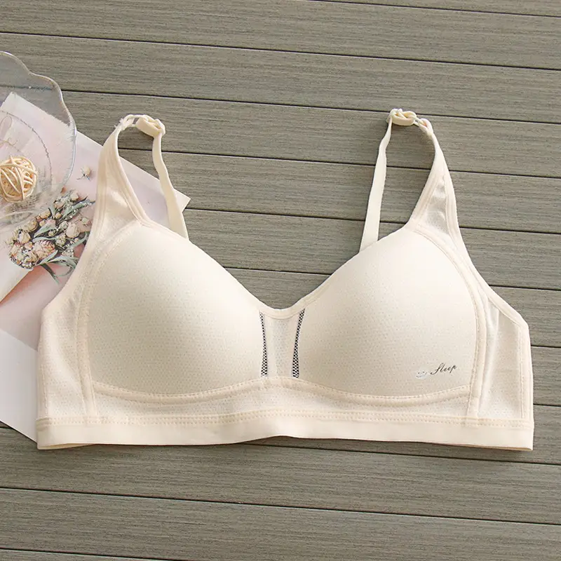 Teenage Underwear Female Junior High School Students High School Girls Two or Three Stages Summer Thin Pure Cotton Lian Bra