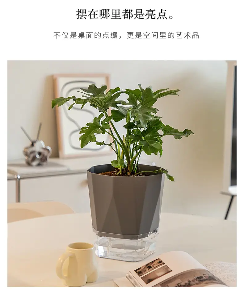 Scandinavian Simple Lazy Self-absorbing Flower Pot Internet Celebrity Green Rose Plastic Balcony Indoor Hydroponic Flower Pot — feature 16