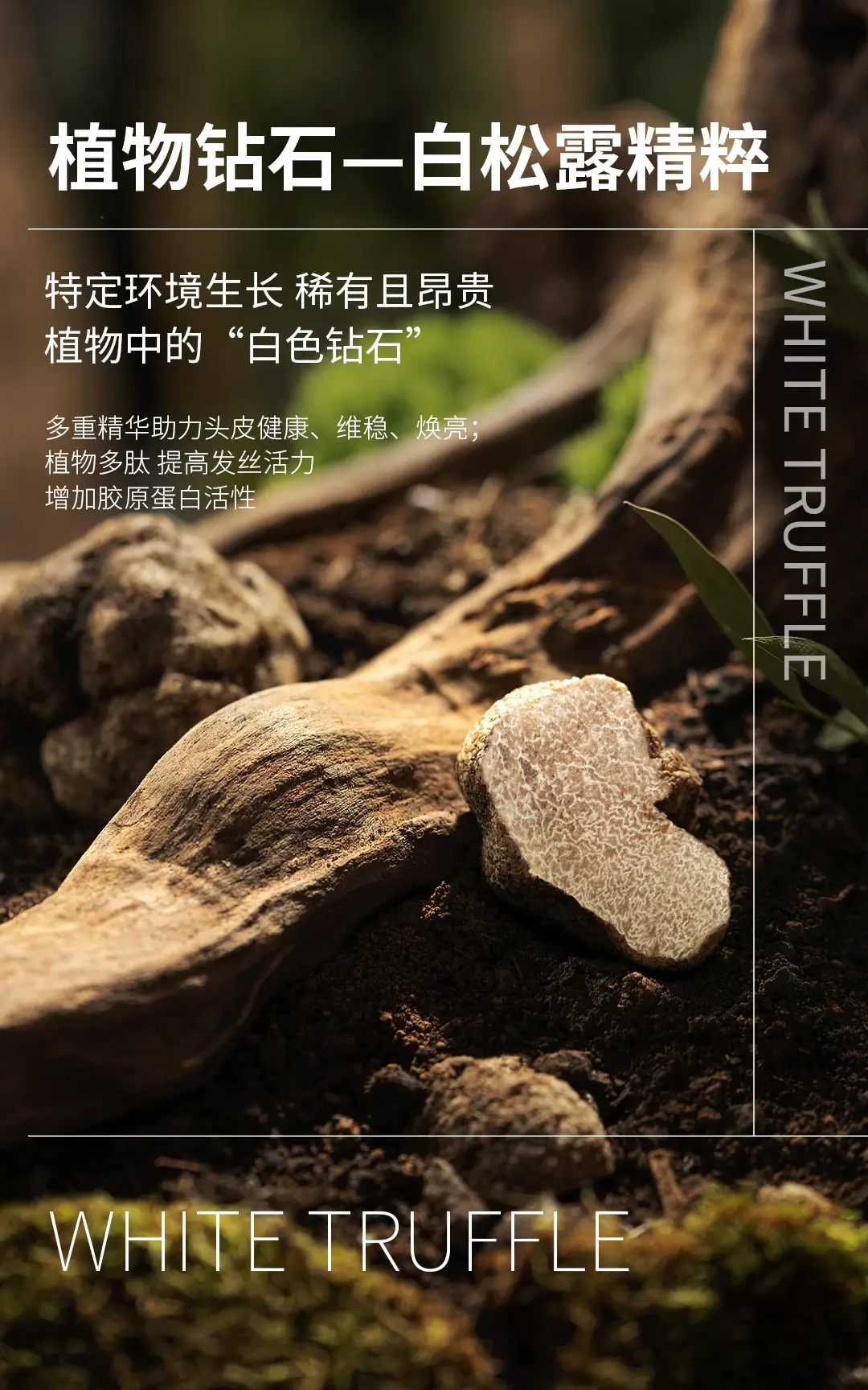 White truffle shampoo conditioner shower gel oil control fluffy deep cleaning water shampoo a batch — feature 7