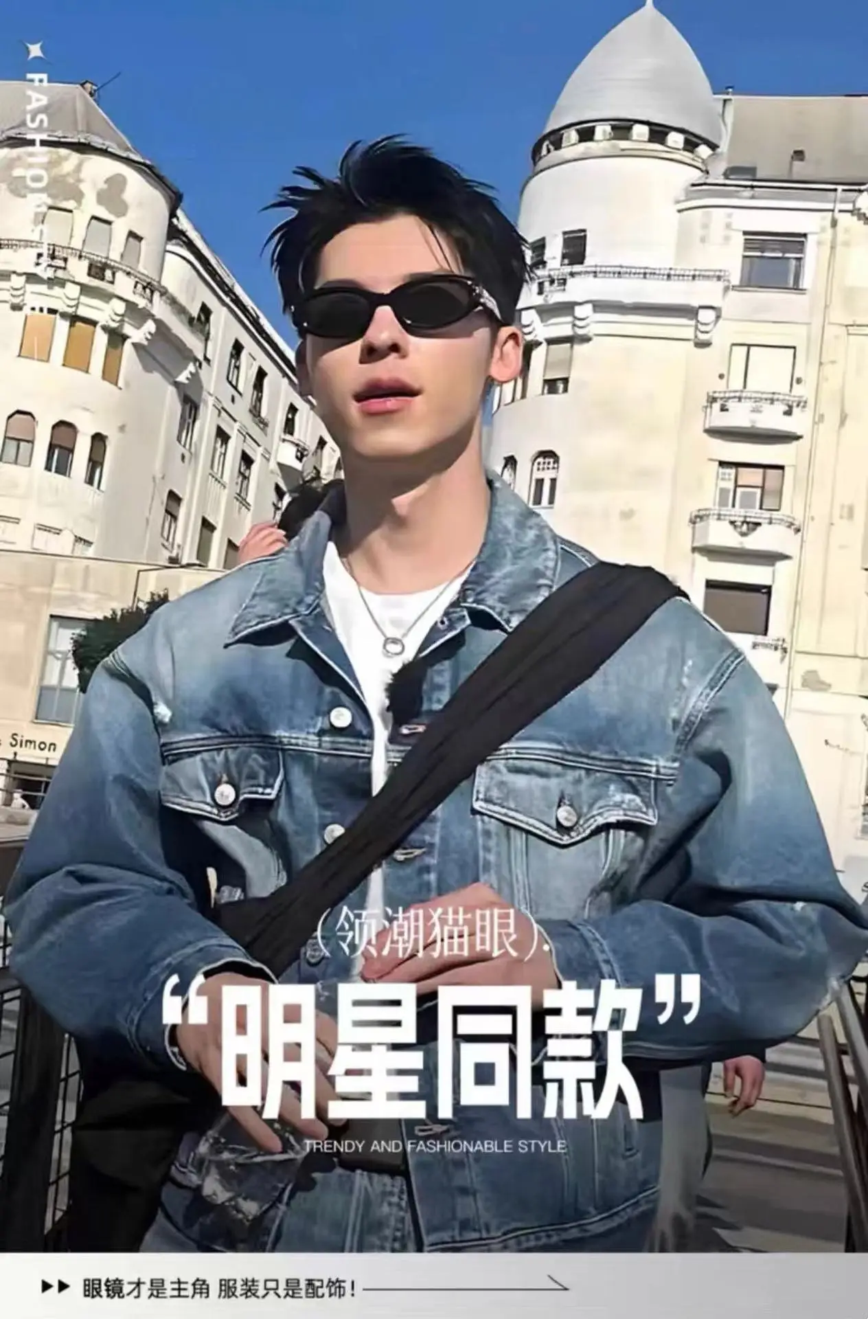 High-End Cat-Eye Sunglasses Black Nylon Lens — feature 1
