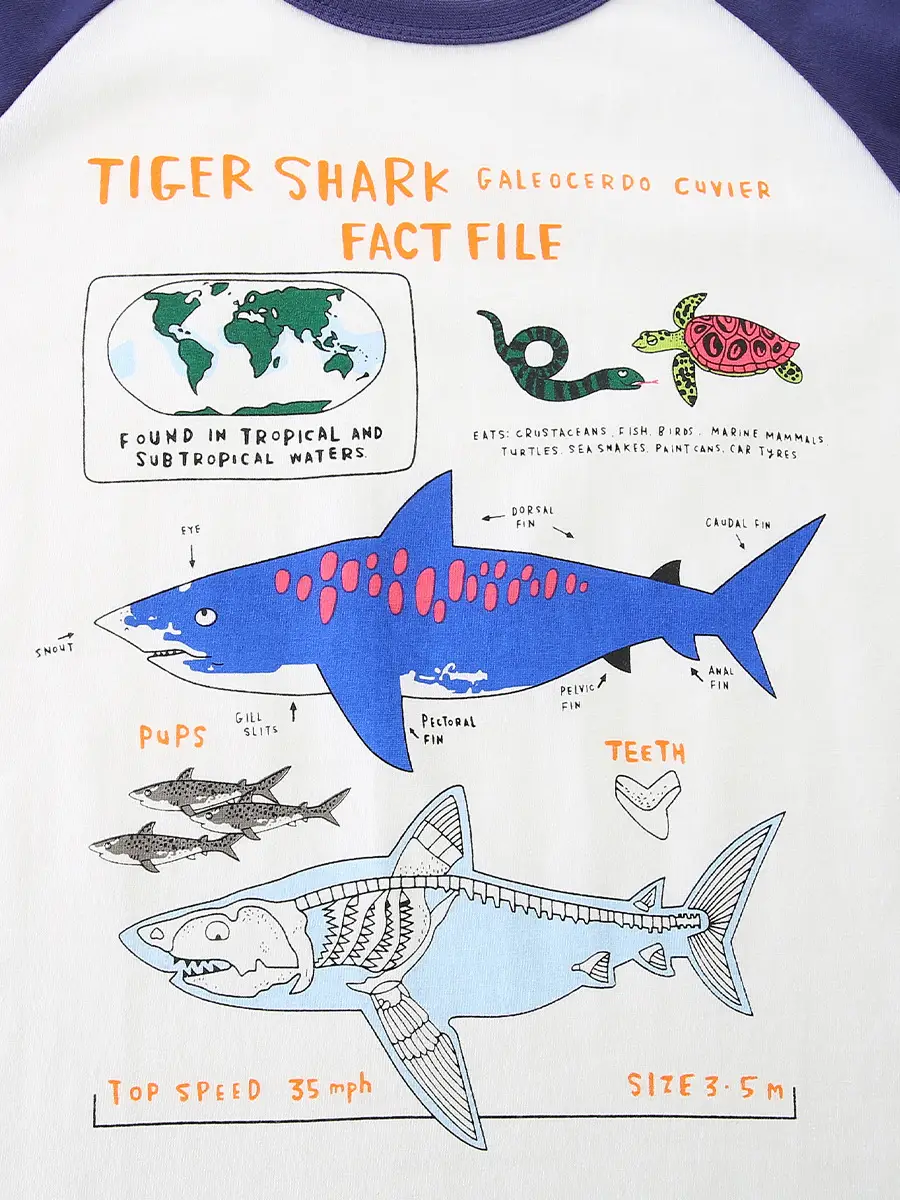 Tiger Shark Fact File Kids T-Shirt Blue Cotton - Image 4