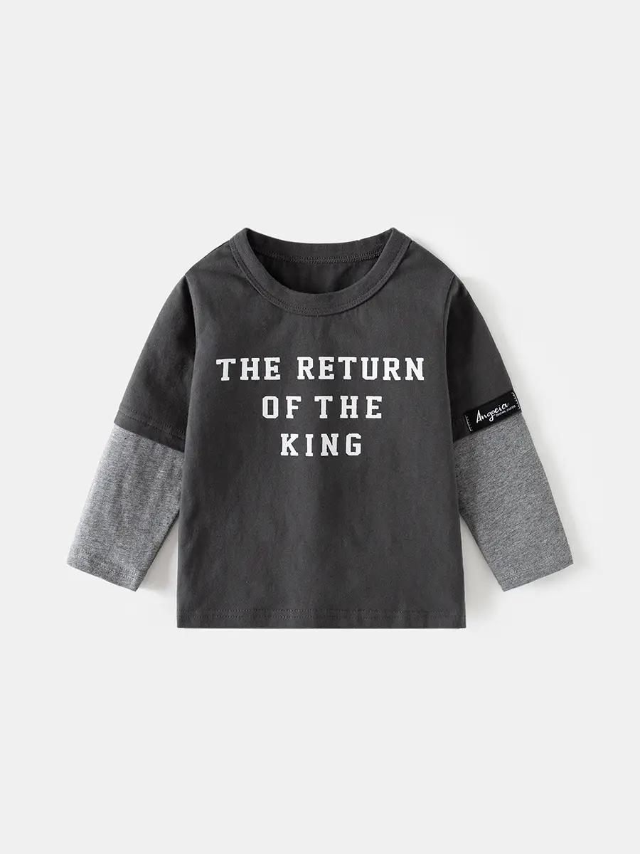 Boys Cotton Long Sleeve T-Shirt "The Return of the King" Grey