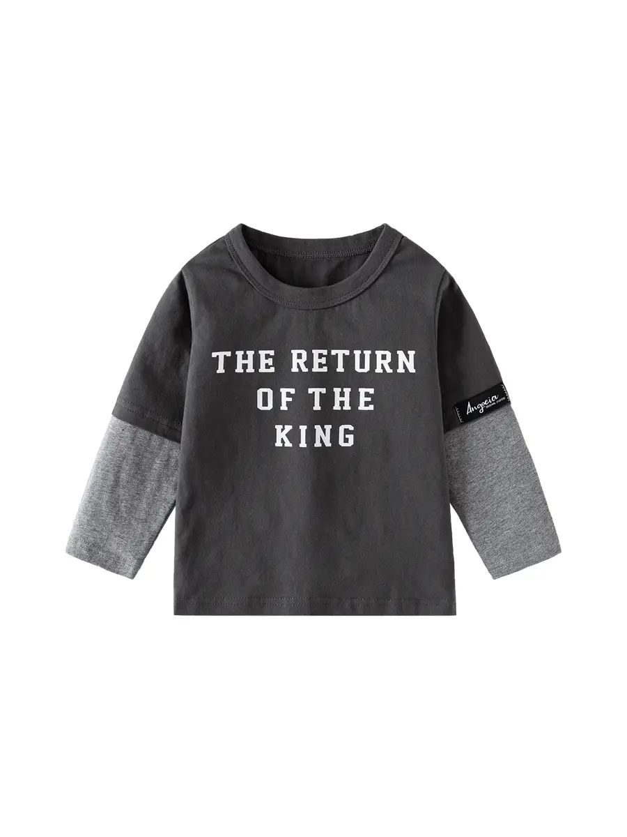 Boys Cotton Long Sleeve T-Shirt "The Return of the King" Grey