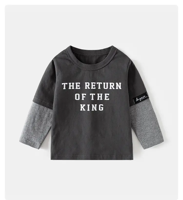 Boys Cotton Long Sleeve T-Shirt "The Return of the King" Grey — feature 1