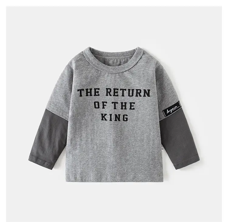 Boys Cotton Long Sleeve T-Shirt "The Return of the King" Grey — feature 10