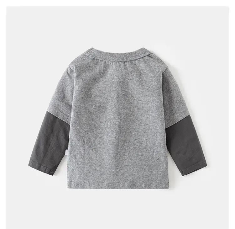 Boys Cotton Long Sleeve T-Shirt "The Return of the King" Grey — feature 11