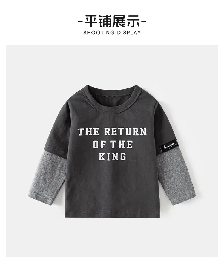 Boys Cotton Long Sleeve T-Shirt "The Return of the King" Grey — feature 8